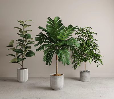 Various Lush Green Leaf Potted Plants In Different Ceramic Pots For Indoor Home Decor 3d model