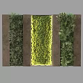 Modern Living Plant Wall Design With Varied Greenery And Central Yellow Foliage