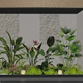 Lush Indoor Landscape with Monstera Palm Plants Stone Wall Backdrop and Floor Sphere Lights
