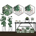 Modern Potted Plant Combination Potted Green Plant Floriculture Flower Pot Nordic Hanging Painting 3d model