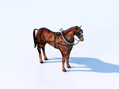Brown Horse Standing With Black Leather Harness And White Background 3d model