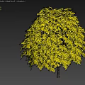 Full Vibrant Green Tree With Lush Dense Foliage Against Gray Background