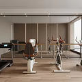 Modern Gym Space With Treadmill Exercise Bike Rowing Machine Wooden Floor And Mirrors