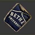 BETHE UNIVERSITY Blue Decorative Pillow With White Lettering For Home Living Accessories