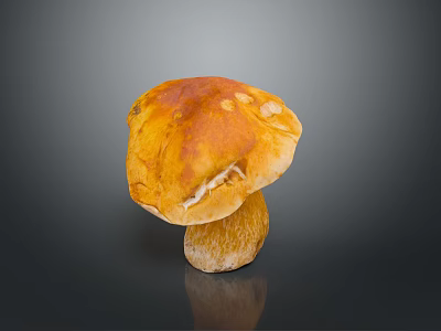 Fresh Orange Mushroom With Smooth Cap And Sturdy Stem On Black Surface 3d model