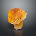 Fresh Orange Mushroom With Smooth Cap And Sturdy Stem On Black Surface 3d model