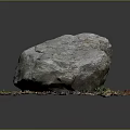Large Natural Stone with Moss and Wooden Fallen Leaves on Ground