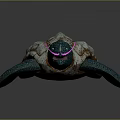 Turtle Cartoon Turtle Snapping Turtle Chickbill Turtle Reptile Cold Blooded Animal Reptile Class 3d model
