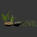 Natural Green Plants With Ferns Yellow Flowers Small Grasses And Stones