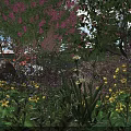 Vibrant Flowering Bush With Pink Yellow Purple Blooms And Green Foliage