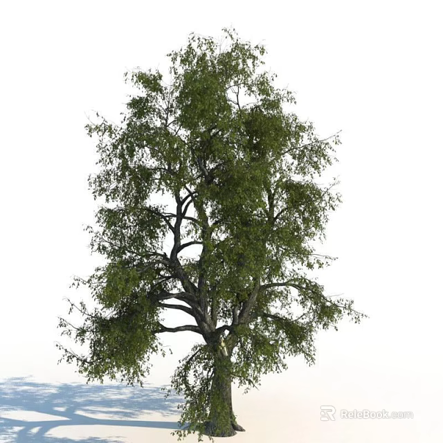 Tall Arbor Tree With Lush Green Foliage And Thick Branches In Natural Landscape 3d model 