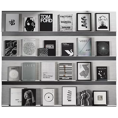 Stylish Diverse Books Magazines With Art Fashion Design Covers On Shelf 3d model