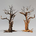 Withered Leafless Shrub With Thick Trunk Branches And Exposed Roots On Gray Background