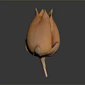 Elegant Orange Flower Shaped Decorative Home Living Accessory With Petal Design