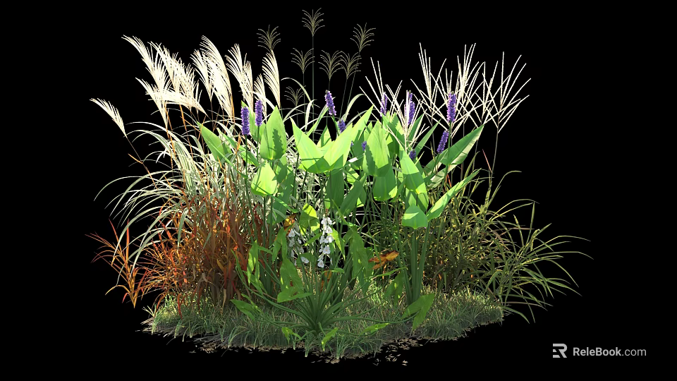 Mixed Garden Plants With Tall Grasses Broad Green Leaves And Purple Blooms 3d model 