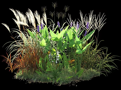Mixed Garden Plants With Tall Grasses Broad Green Leaves And Purple Blooms 3d model