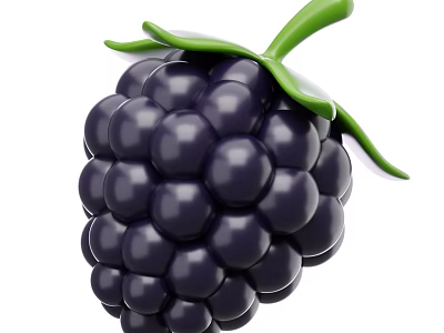Fresh Ripe Blackberry Fruit With Juicy Berries Green Leaves And Stem 3d model