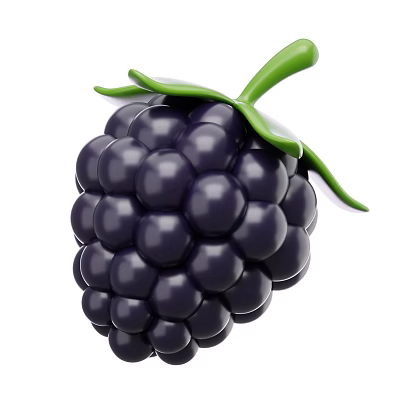 Fresh Ripe Blackberry Fruit With Juicy Berries Green Leaves And Stem 3d model