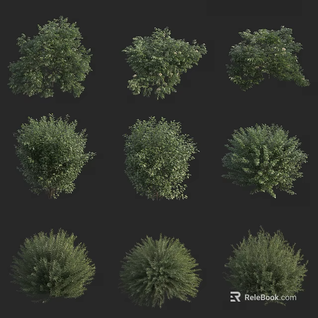 Collection Of Green Shrubs With Various Foliage Shapes And Lush Growth 3d model 