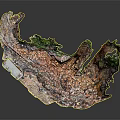 Natural Wood Stone Structure With Cave Green Moss And Pebble Ground Design