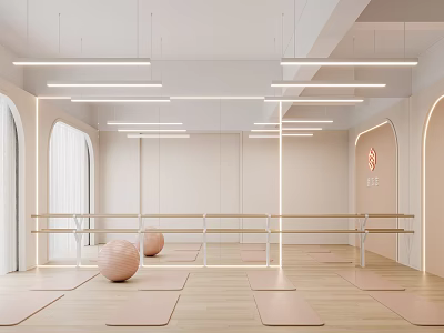 Minimalist Yoga Studio Interior With Mats Balls And Barres 3d model