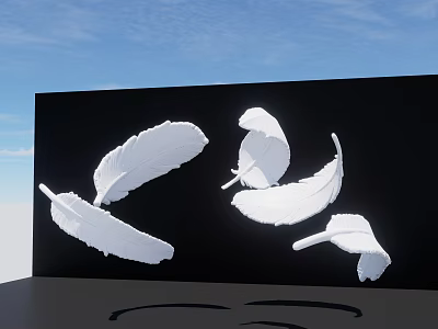 Eye Catching White Feathers Black Background Blue Sky Photo Spot 3d model