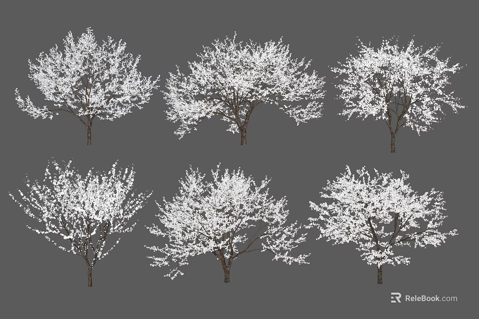 Blooming Arbor Trees With White Flowers In Various Shapes Isolated On Gray Background 3d model 