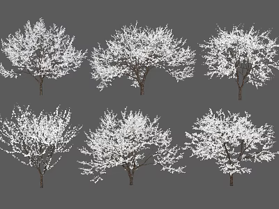 Blooming Arbor Trees With White Flowers In Various Shapes Isolated On Gray Background 3d model