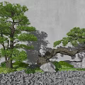 New Chinese style landscape sketch pine tree welcome pine landscape tree withered stone courtyard 3d model