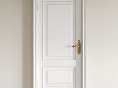 White Hinged Door With Golden Door Handle Sleek Modern Interior Design 3d model