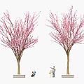 Delicious Outdoor Picnic Food Under Pink Blossom Trees With People