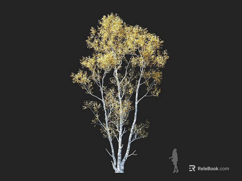 Golden Leaf Tree with White Trunks and Black Background Human Figure for Scale 3d model 