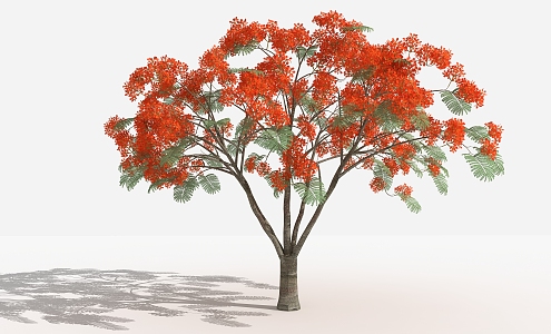 modern tree phoenix wood 3d model