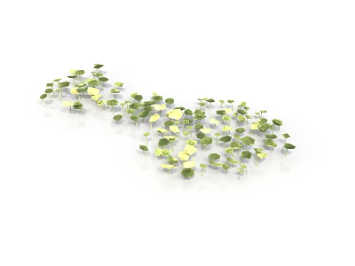 Small Green And Yellow Leaf Plants In Flowing Wave Like Arrangement On White Background 3d model