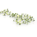 Small Green And Yellow Leaf Plants In Flowing Wave Like Arrangement On White Background