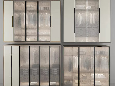 Elegant Modern Wardrobe With Glass Doors Metal Frames And Interior Organization Design 3d model