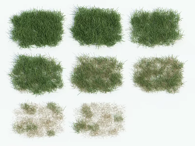 Diverse Green and Brown Grass Patches Showing Different Growth Stages and Textures 3d model