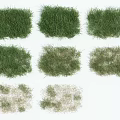 Diverse Green and Brown Grass Patches Showing Different Growth Stages and Textures
