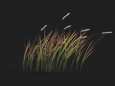 Lush Green and Yellow Grass with White Spiky Flowers on Top 3d model