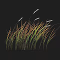 Lush Green and Yellow Grass with White Spiky Flowers on Top