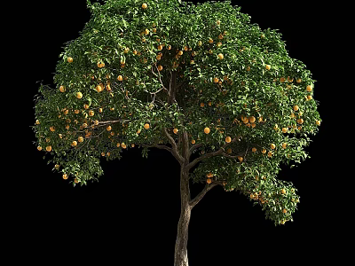 Lush Fruit Arbor With Green Leaves Brown Trunk And Abundant Yellow Fruits 3d model