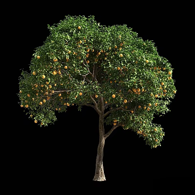 Lush Fruit Arbor With Green Leaves Brown Trunk And Abundant Yellow Fruits 3d model