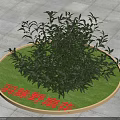 Yuma Yeshanhua Arbor With Lush Green Foliage In Circular Lawn On Stone Pavement