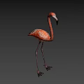 Full Body View Of Pink Flamingo Standing On Long Legs With Neutral Gray Background