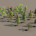 Various Types of Arbor Trees With Diverse Foliage Shapes and Sizes in Grouped