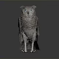 Realistic Gray Plumage Owl with Blue Eyes White Claws Standing on Dark Background