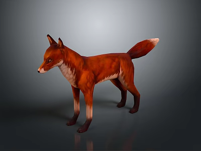 Realistic 3D Red Fox Model With White Chest Standing On Gray Background 3d model