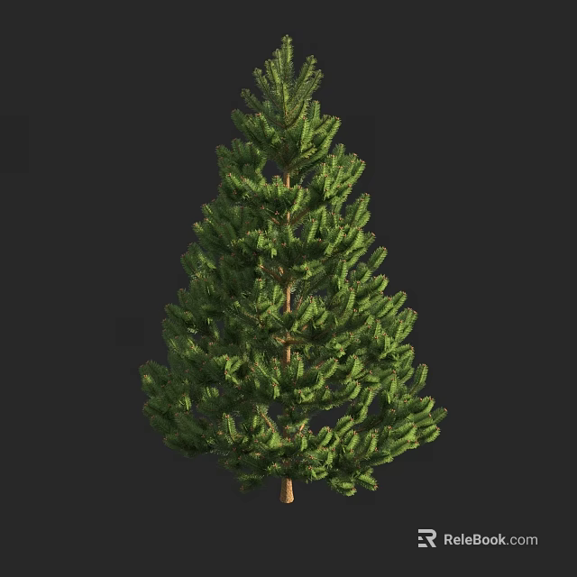 Realistic Evergreen Coniferous Arbor With Lush Green Foliage And Brown Trunk 3d model 