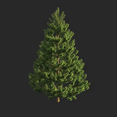 Realistic Evergreen Coniferous Arbor With Lush Green Foliage And Brown Trunk 3d model