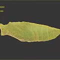 Green Leaf Wrapped Food Roll With Fresh Texture And Organic Appearance